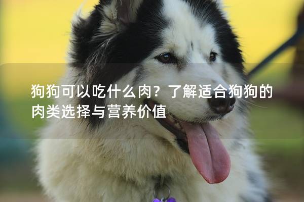 狗狗可以吃什么肉?了解適合狗狗的肉類選擇與營養價值 狗狗可以吃什么肉?了解適合狗狗的肉類選擇與營養價值