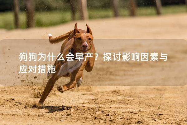 狗狗為什么會早產？探討影響因素與應對措施