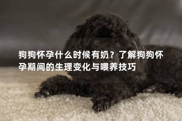 狗狗懷孕什么時候有奶？了解狗狗懷孕期間的生理變化與喂養(yǎng)技巧