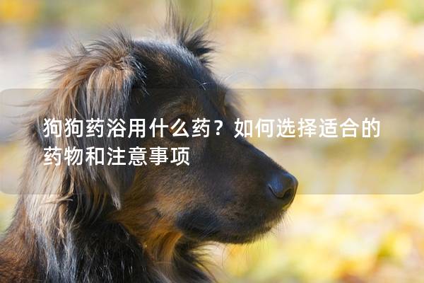 狗狗藥浴用什么藥？如何選擇適合的藥物和注意事項