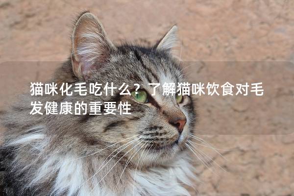 貓咪化毛吃什么？了解貓咪飲食對毛發(fā)健康的重要性