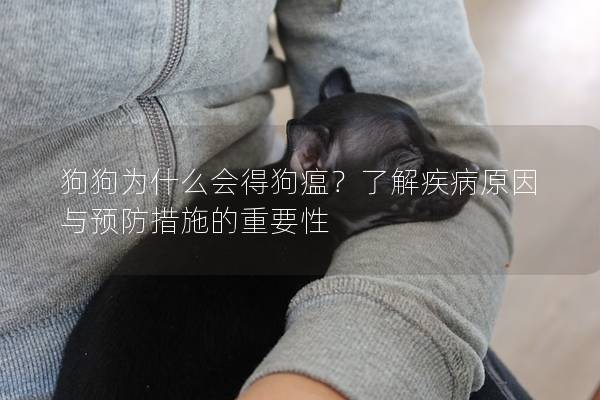 狗狗為什么會得狗瘟？了解疾病原因與預(yù)防措施的重要性