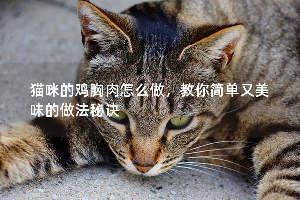 貓咪的雞胸肉怎么做，教你簡單又美味的做法秘訣