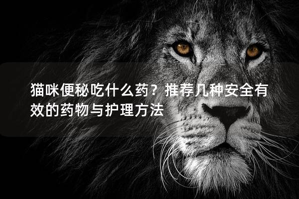 貓咪便秘吃什么藥？推薦幾種安全有效的藥物與護(hù)理方法