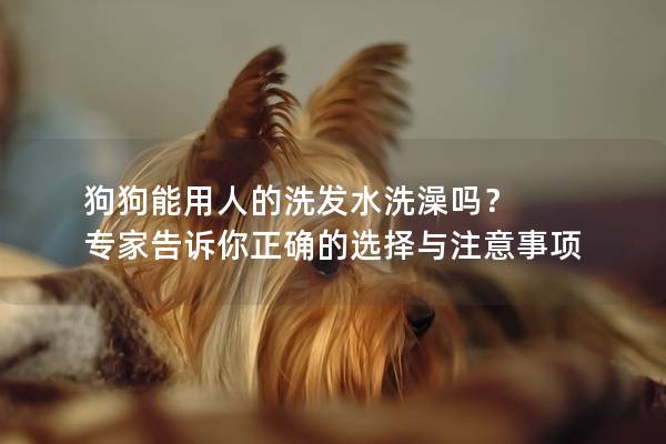 狗狗能用人的洗發水洗澡嗎？ 專家告訴你正確的選擇與注意事項