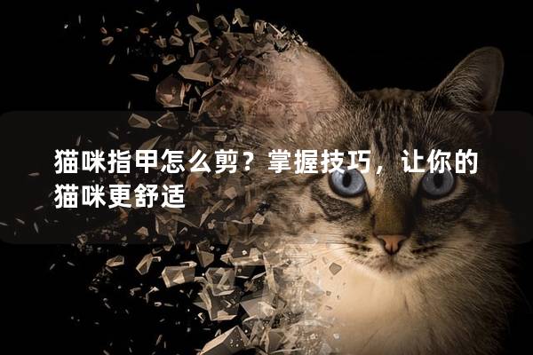貓咪指甲怎么剪？掌握技巧，讓你的貓咪更舒適