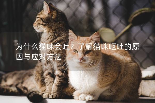 為什么貓咪會吐？了解貓咪嘔吐的原因與應對方法