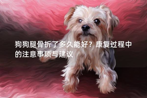 狗狗腿骨折了多久能好？康復過程中的注意事項與建議