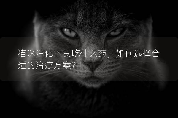 貓咪消化不良吃什么藥，如何選擇合適的治療方案？