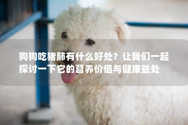 狗狗吃豬肺有什么好處？讓我們一起探討一下它的營養(yǎng)價值與健康益處