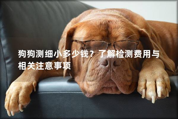 狗狗測細小多少錢？了解檢測費用與相關(guān)注意事項