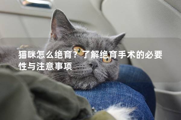 貓咪怎么絕育？了解絕育手術的必要性與注意事項