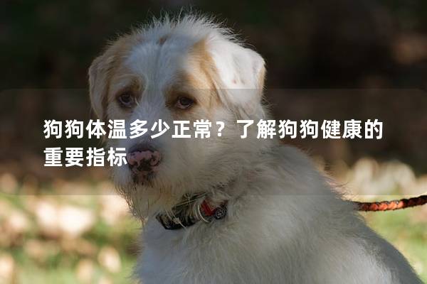狗狗體溫多少正常？了解狗狗健康的重要指標