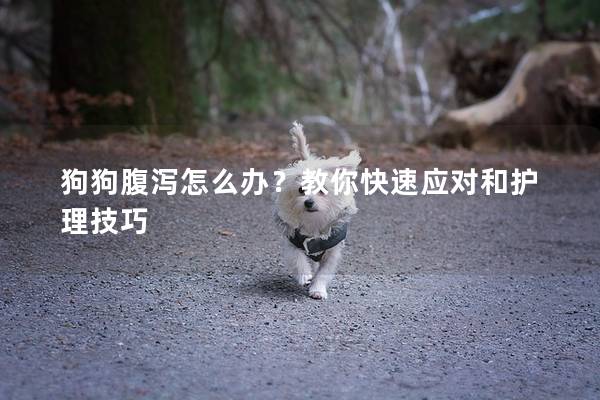狗狗腹瀉怎么辦？教你快速應對和護理技巧