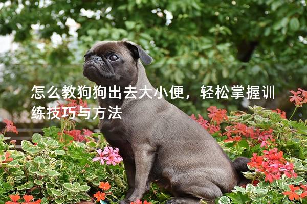 怎么教狗狗出去大小便，輕松掌握訓練技巧與方法