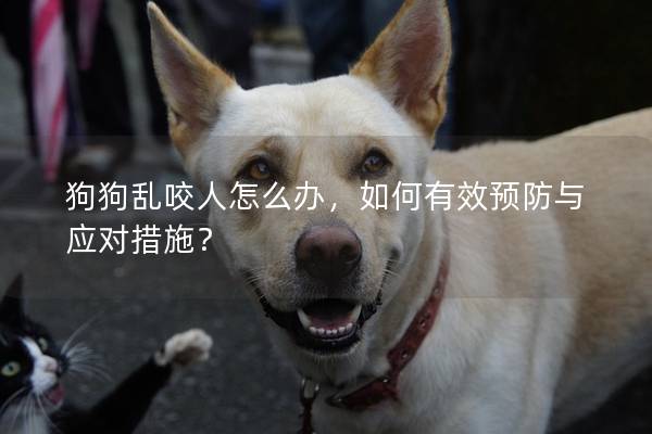 狗狗亂咬人怎么辦,如何有效預防與應對措施? 狗狗亂咬人怎么辦,如何有效預防與應對措施?