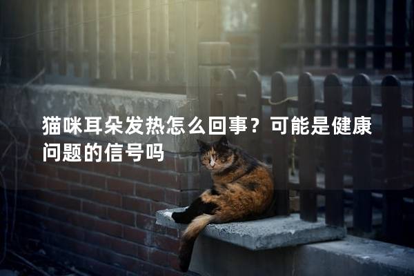 貓咪耳朵發(fā)熱怎么回事？可能是健康問(wèn)題的信號(hào)嗎