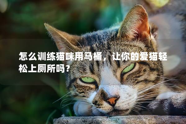 怎么訓練貓咪用馬桶，讓你的愛貓輕松上廁所嗎？