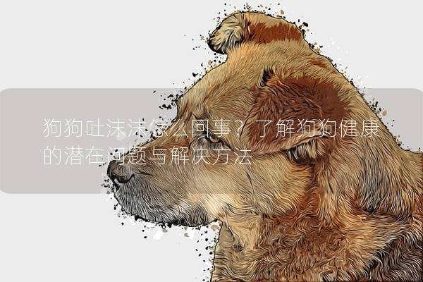 狗狗吐沫沫怎么回事？了解狗狗健康的潛在問題與解決方法