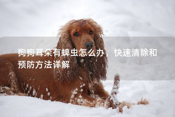 狗狗耳朵有蜱蟲怎么辦，快速清除和預(yù)防方法詳解