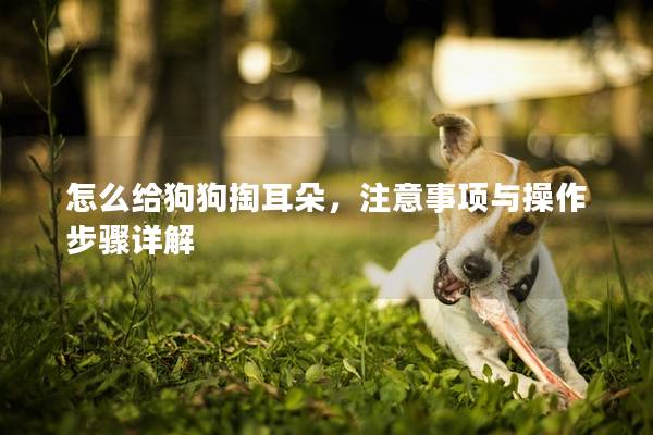 怎么給狗狗掏耳朵，注意事項與操作步驟詳解