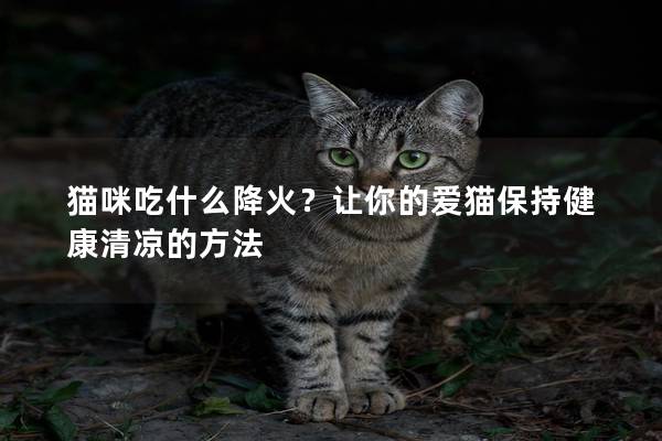 貓咪吃什么降火？讓你的愛貓保持健康清涼的方法