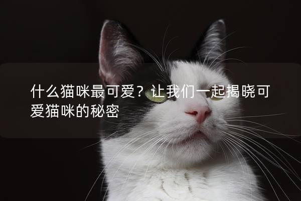 什么貓咪最可愛？讓我們一起揭曉可愛貓咪的秘密