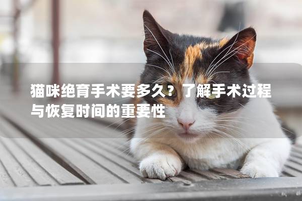 貓咪絕育手術(shù)要多久？了解手術(shù)過程與恢復(fù)時(shí)間的重要性