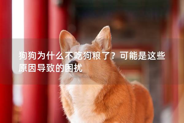 狗狗為什么不吃狗糧了？可能是這些原因導致的困擾