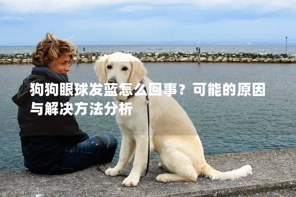 狗狗眼球發(fā)藍(lán)怎么回事？可能的原因與解決方法分析