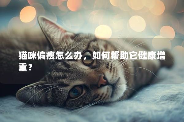 貓咪偏瘦怎么辦，如何幫助它健康增重？