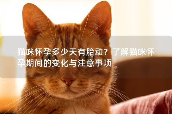 貓咪懷孕多少天有胎動？了解貓咪懷孕期間的變化與注意事項