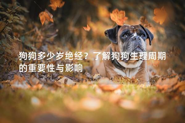 狗狗多少歲絕經？了解狗狗生理周期的重要性與影響