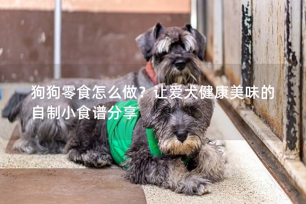 狗狗零食怎么做？讓愛犬健康美味的自制小食譜分享