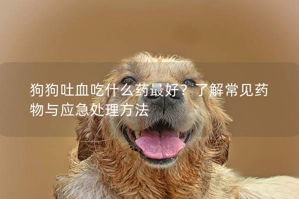 狗狗吐血吃什么藥最好？了解常見藥物與應急處理方法