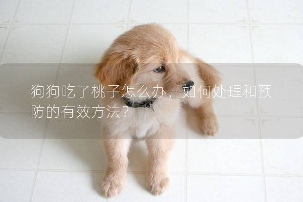 狗狗吃了桃子怎么辦，如何處理和預防的有效方法？