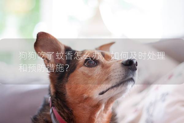 狗狗吃了蚊香怎么辦，如何及時處理和預防措施？