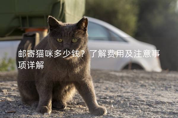 郵寄貓咪多少錢？了解費用及注意事項詳解