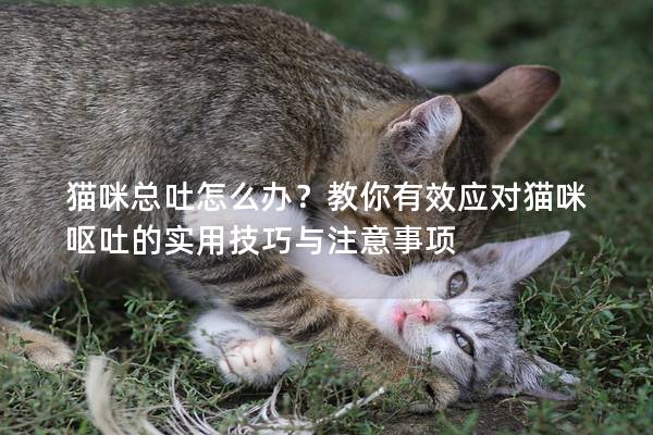 貓咪總吐怎么辦？教你有效應對貓咪嘔吐的實用技巧與注意事項