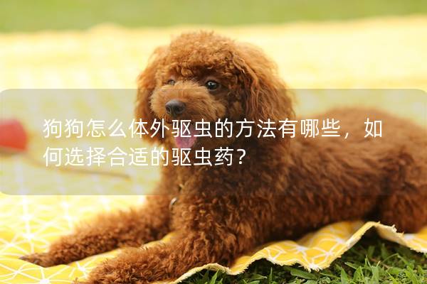 狗狗怎么體外驅蟲的方法有哪些，如何選擇合適的驅蟲藥？