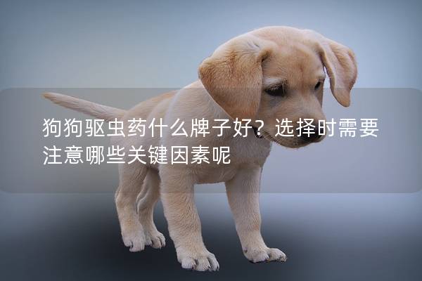 狗狗驅蟲藥什么牌子好？選擇時需要注意哪些關鍵因素呢