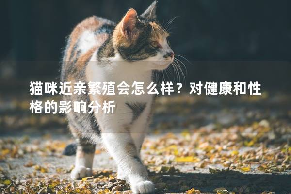貓咪近親繁殖會(huì)怎么樣？對(duì)健康和性格的影響分析