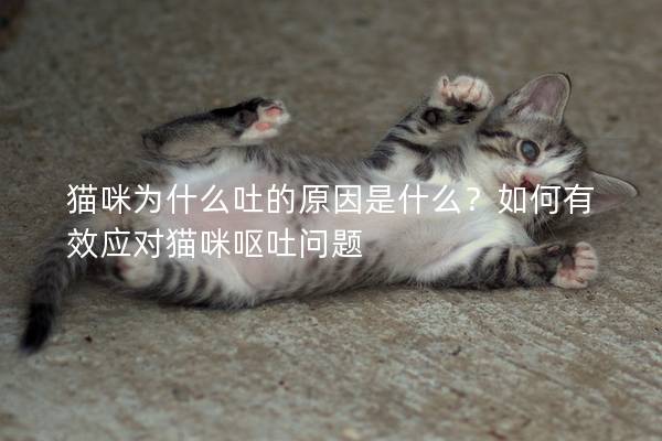 貓咪為什么吐的原因是什么？如何有效應(yīng)對(duì)貓咪嘔吐問(wèn)題