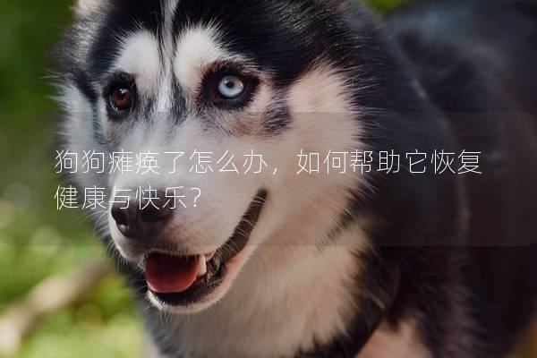 狗狗癱瘓了怎么辦，如何幫助它恢復健康與快樂？
