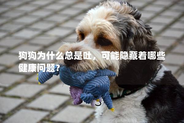狗狗為什么總是吐，可能隱藏著哪些健康問題？