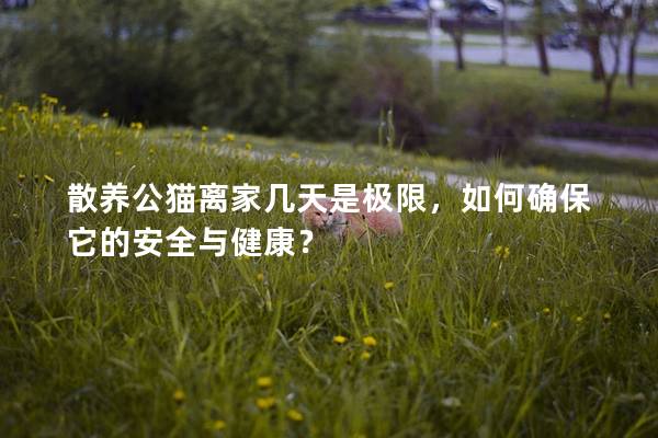散養公貓離家幾天是極限，如何確保它的安全與健康？