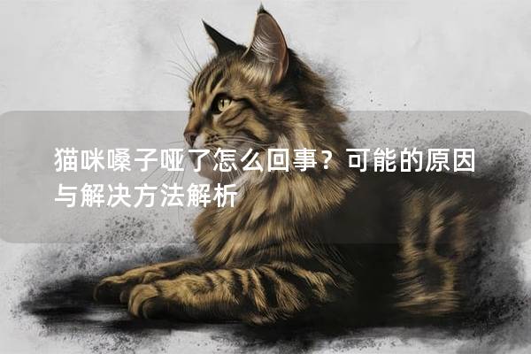 貓咪嗓子啞了怎么回事？可能的原因與解決方法解析
