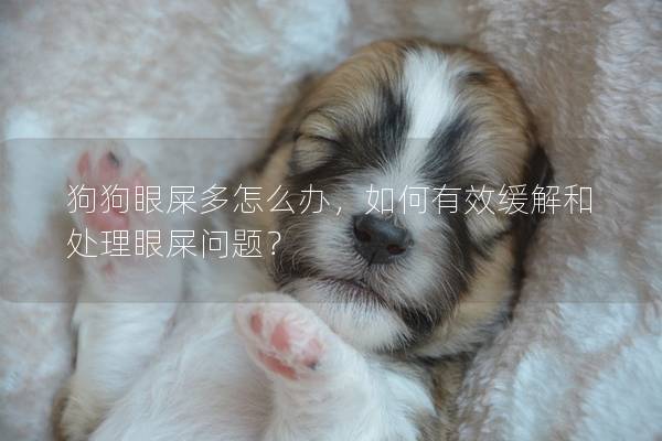 狗狗眼屎多怎么辦，如何有效緩解和處理眼屎問題？