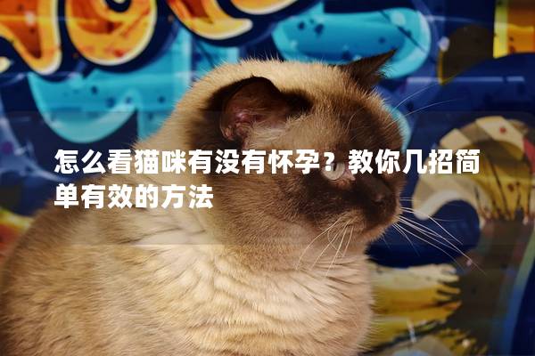 怎么看貓咪有沒(méi)有懷孕？教你幾招簡(jiǎn)單有效的方法