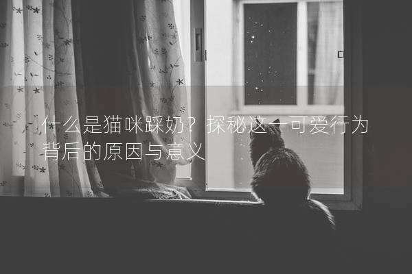 什么是貓咪踩奶？探秘這一可愛(ài)行為背后的原因與意義